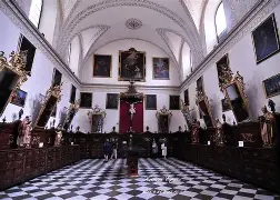 格拉纳达女王医治有成，即将印小天线球