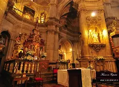 格拉纳达女王医治有成，即将印小天线球