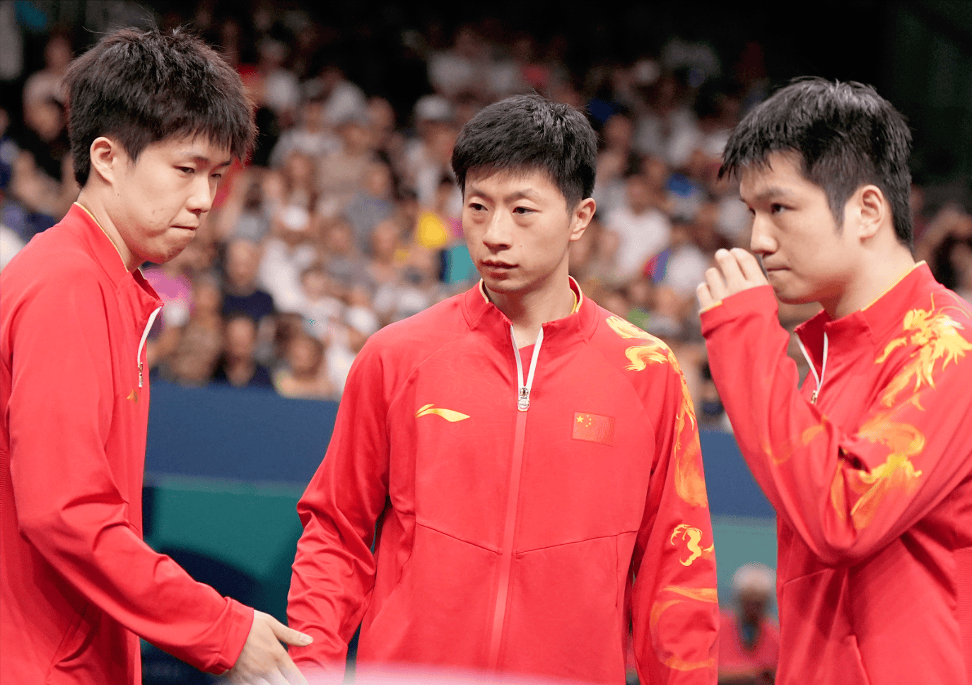 韩国队险胜法国队，樊振东扛起全队的简单介绍