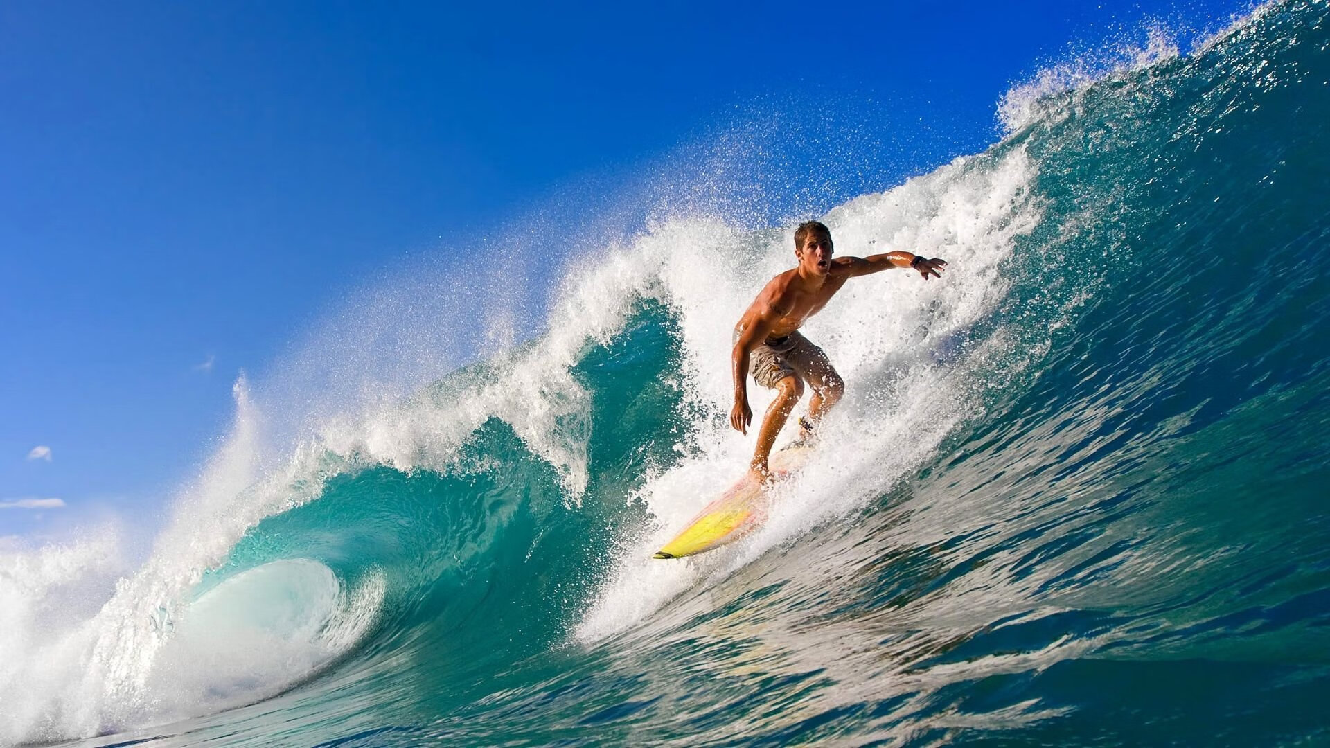 芝加哥的飓风，公牛末节狂潮，一场西决预演的生死洗礼