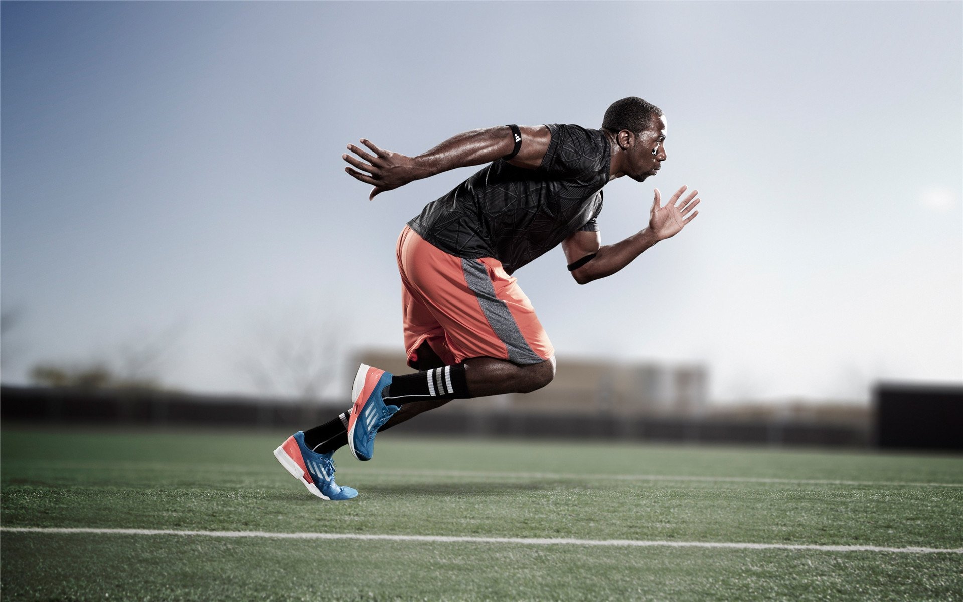 勇士横扫国王背后的篮球哲学，当团队艺术遇见字母哥式的个人统治